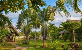 Chalet Tropical Bio-Hotel