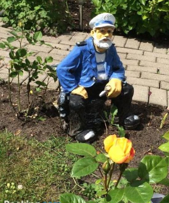 享有花园景致的公寓