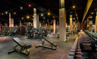 a large , well - equipped gym with a variety of exercise equipment , including weight machines , benches , and a treadmill at Hilton Boston Park Plaza