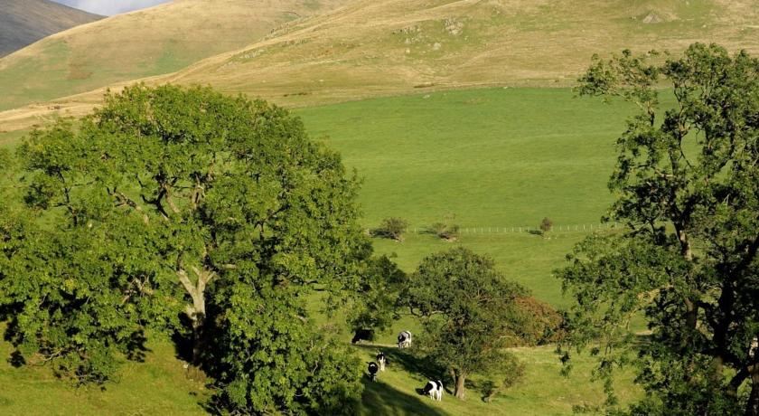 假日五卧室别墅