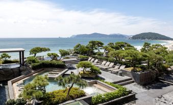 a large pool surrounded by lounge chairs and trees , with the ocean visible in the background at Paradise Hotel Busan