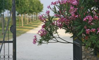 Rebblüte Gutshof & Landhaus