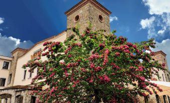 Villa Venus Resort & SPA - Housity