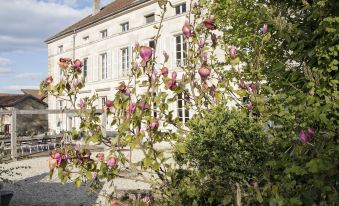 a white building with a pink flowering tree in front of it , surrounded by green grass and trees at Joie de Vivre