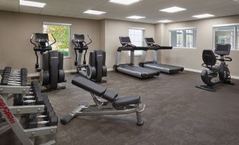 a well - equipped gym with a variety of exercise equipment , including treadmills , weight machines , and benches at Residence Inn Gravenhurst Muskoka Wharf