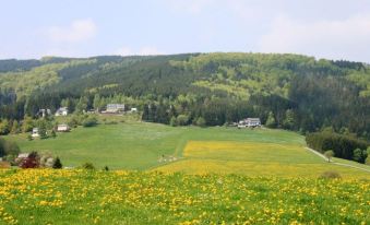 Large Holiday Home in Willingen with Private Garden and Several Terraces