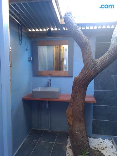 别墅（带独立泳池）