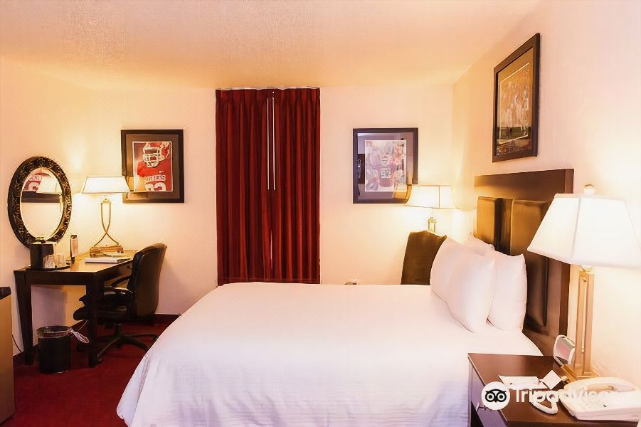 标准客房, 1 张特大床房