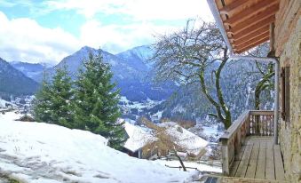 Lovely Cottage in Chatel French Alps Near Ski Area