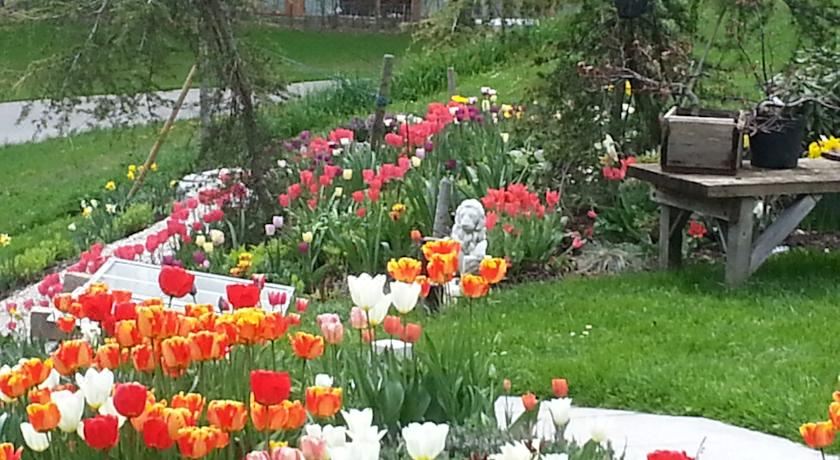 带山景的双人间