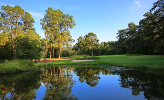 a serene golf course with trees , water , and reflections in the foreground , under a clear blue sky at Pine Needles Lodge & Golf Club