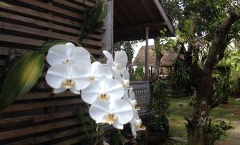 D'Tegale Homestay