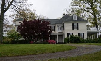 a large white house with black shutters and a driveway , surrounded by green grass and trees at Woodville Bed and Breakfast