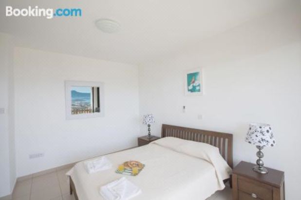 三卧室别墅带私人泳池