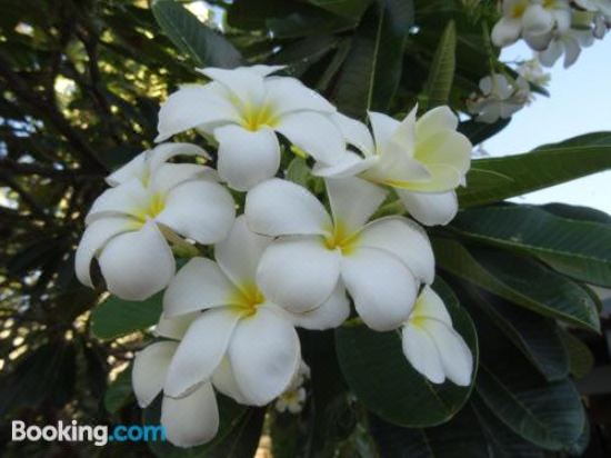 公寓 - 地面楼层