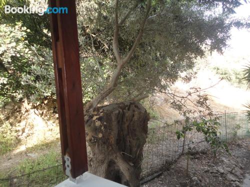 带山景的双人间