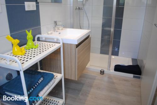 带园景一室公寓