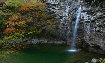 Yagnsan (Baenaegol) Baenae Valley Pension