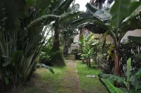 The Country Lodge Hotel Hotels in 