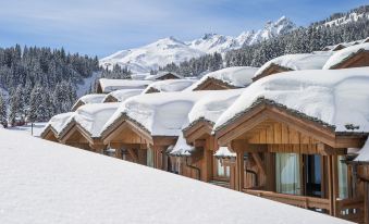 Residence Pierre & Vacances Premium les Chalets du Forum