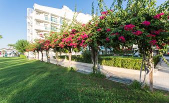 a lush green lawn with pink flowers blooming on the trees , creating a picturesque scene at Falcon Hotel