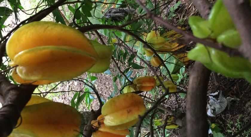 Stunnig Ocean View Holiday Home