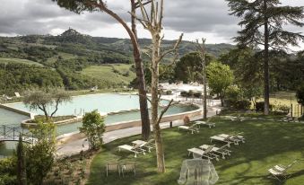 a large outdoor pool surrounded by trees and grass , with lounge chairs and umbrellas placed around the pool area at Albergo Posta Marcucci