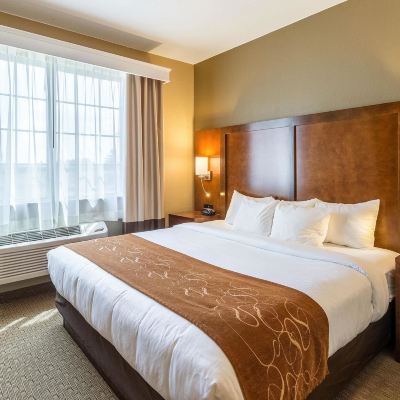 Suite-Non-Smoking Comfort Suites Burlington Promo Code