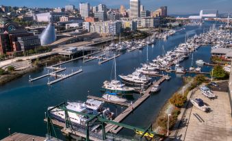 Holiday Inn Express & Suites Tacoma Downtown