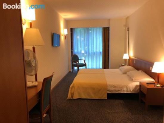 园景高级双床房