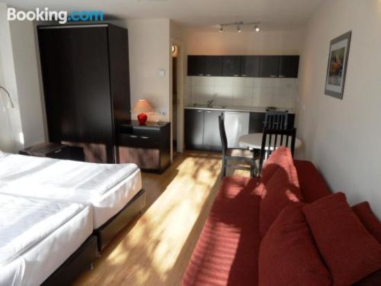 带天井的一室公寓