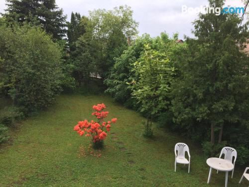 享有花园景致的公寓