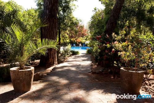 别墅（带独立泳池）