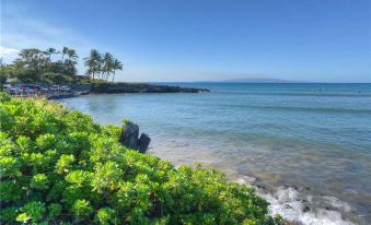 Island Surf 312 - Two Bedroom Condo with Ocean View