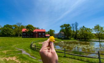 a person is holding a yellow flower in front of a pond with a red house and trees in the background at Inn at Tyler Hill