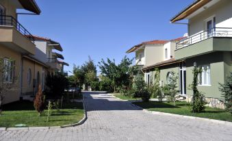 Afyon Dundar Thermal Villa