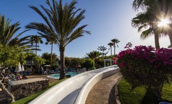 a large water slide is located next to a pool with palm trees and pink flowers at Playa Park Zensation