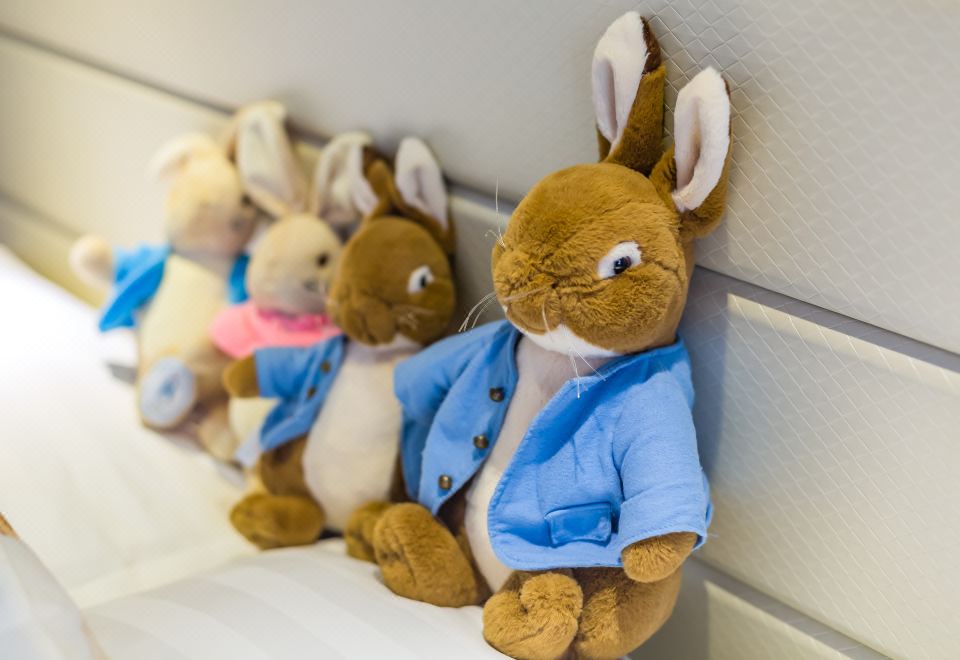 好孩子智享呼吸商务小套房