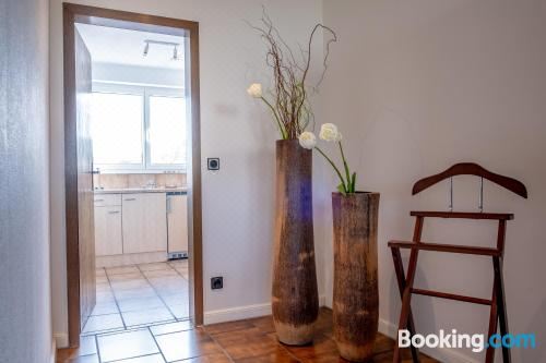 享有花园景致的公寓