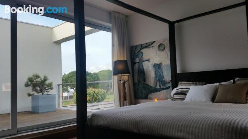 别墅（带独立泳池）