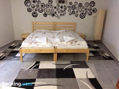 宠物友好型公寓