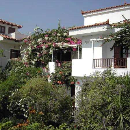 Golden Sun Kokkari