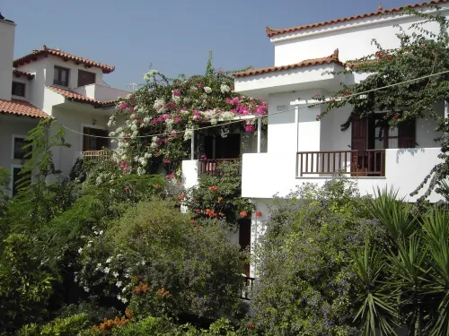 Golden Sun Kokkari