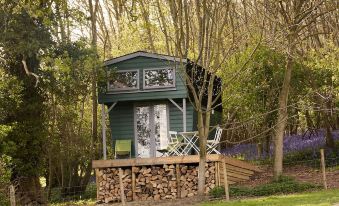a small green house surrounded by trees , with a small deck in front of it at Extraordinary Huts