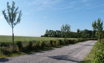 Lovely Holiday Home with Jacuzzi in Mouriez North France