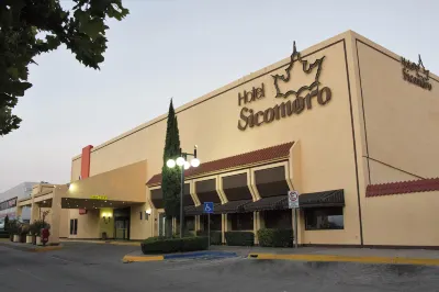 Hotel Sicomoro Hotel a 