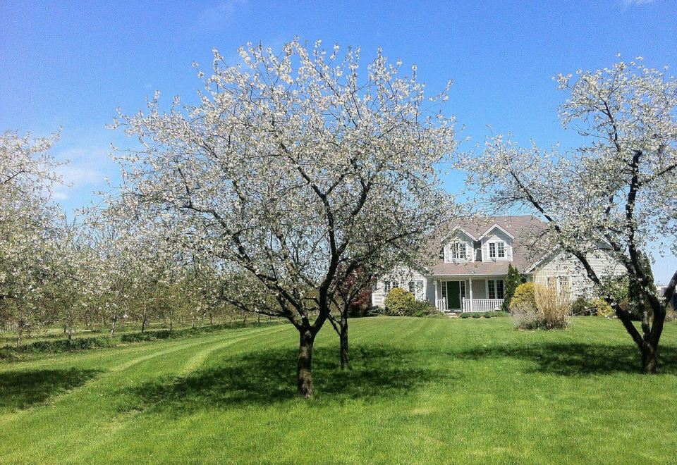 Orchard Croft Boutique Country Retreat - Housity
