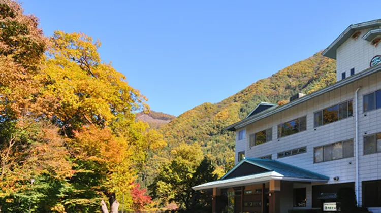 源泉掛流しの宿 吟松亭あわしま 外観