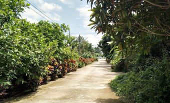 a dirt road surrounded by lush greenery , with trees and bushes lining both sides of the road at Chanthaburi Garden Hotel