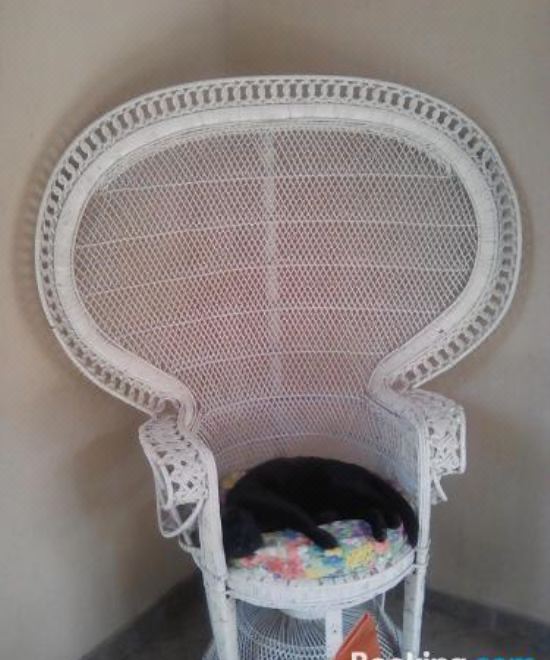 公寓 - 地面楼层